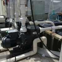 New mutli speed pump - hydroponics 
